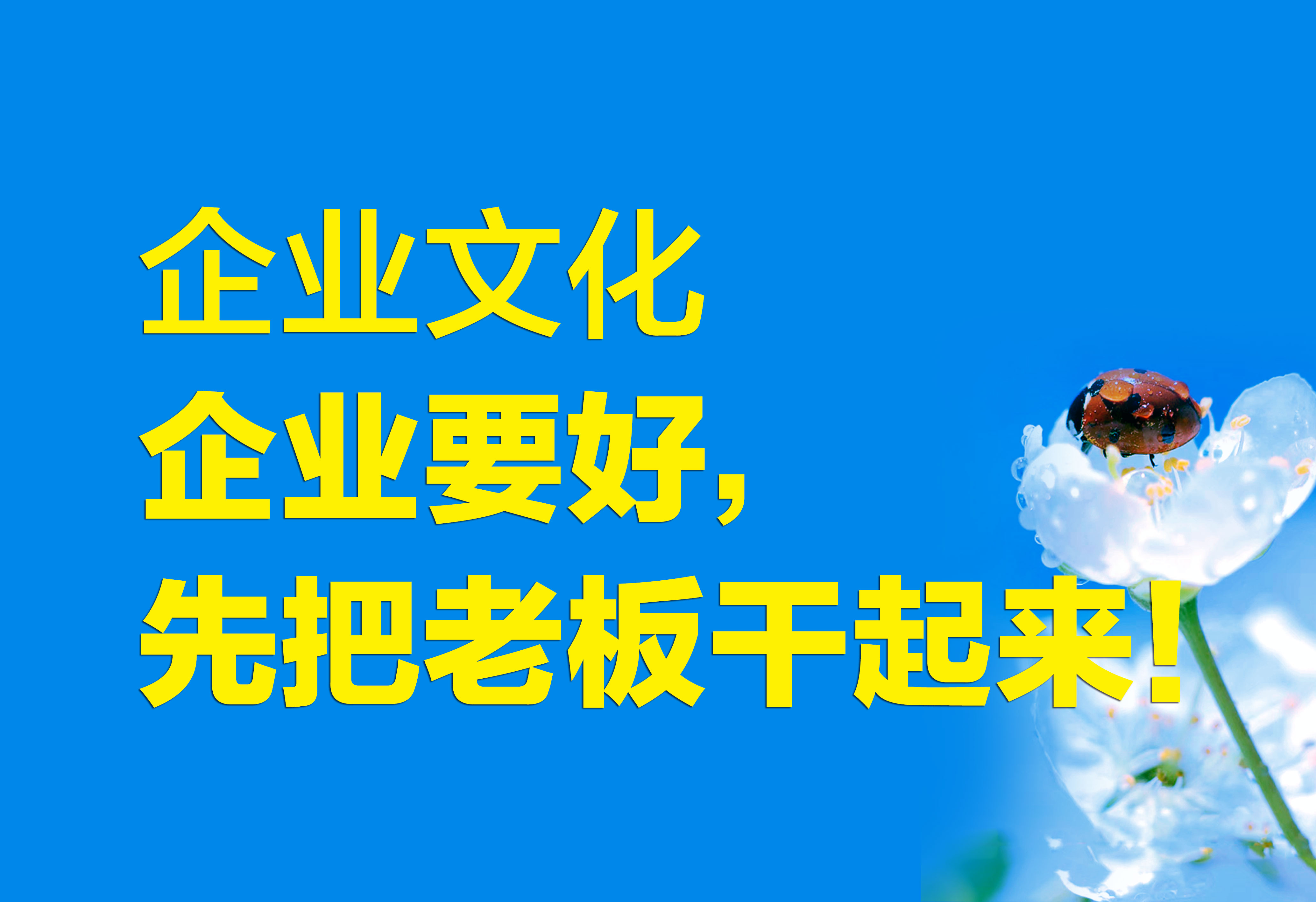 企業(yè)文化：企業(yè)要好，先把老板干起來！